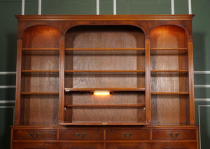 FLAMED YEW WOOD BRADLEY ENGLAND BANK LiBRARY BOOKCASE CUPBOARD WITH LIGHTS