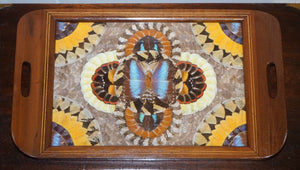VINTAGE BRAZILIAN INLAID WOOD TRAY WITH REAL MORPHO BUTTERFLY WINGS